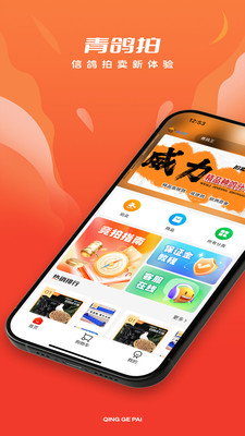 青鸽拍