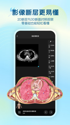 维萨里3D解剖-3D人体解剖图谱