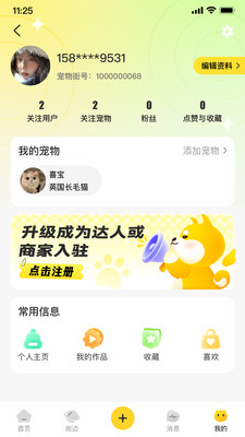 宠物街