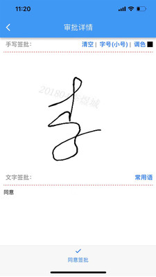 CPAS审计管理
