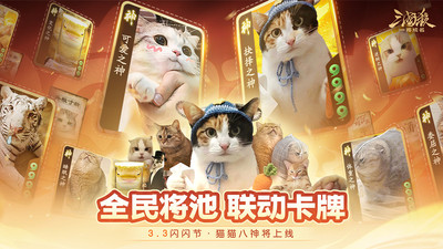 三国杀：一将成名