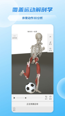 维萨里3D解剖-3D人体解剖图谱