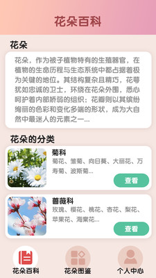 我爱开花