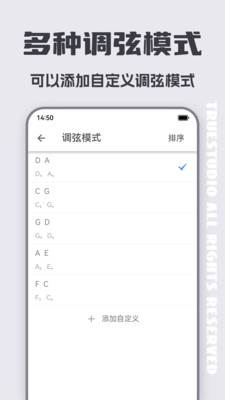 二胡调音器