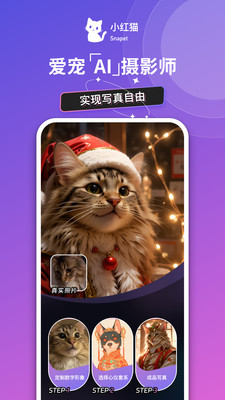 小红猫 -宠物AI高奢写真