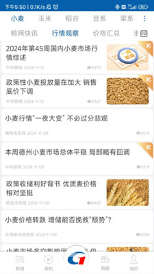 中华粮网
