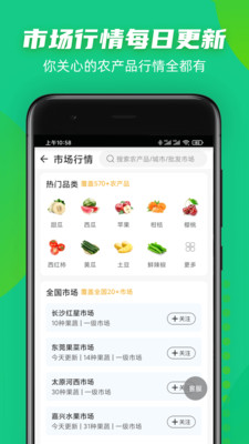豆牛