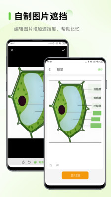 Anymo-Anki记忆卡全新升级