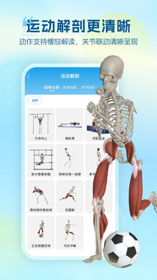 维萨里3D解剖-3D人体解剖图谱