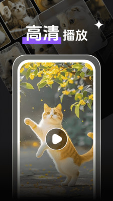 私人观影播放器player