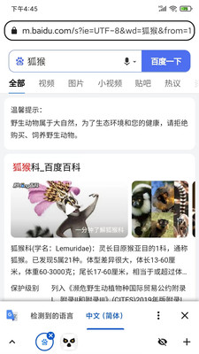 狐猴浏览器- 扩展支持