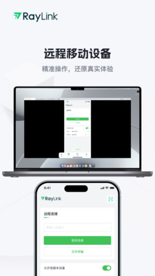 RayLink-远程控制