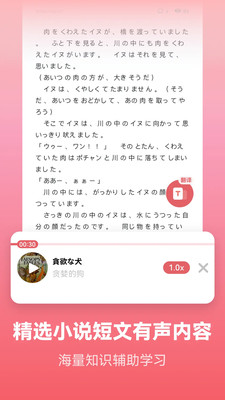 莱特日语学习背单词