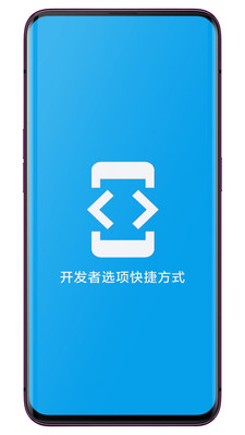开发者选项快捷方式-开发者模式