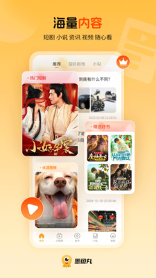 墨鱼丸