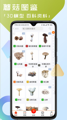 菌窝子-蘑菇识别
