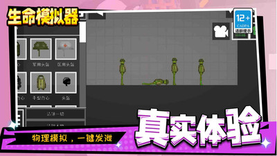 生命模拟器