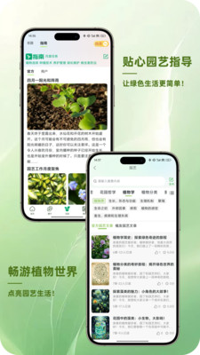 踏遍景观植物词典
