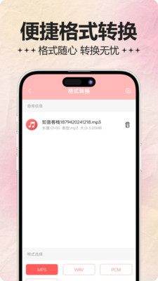 音频处理器