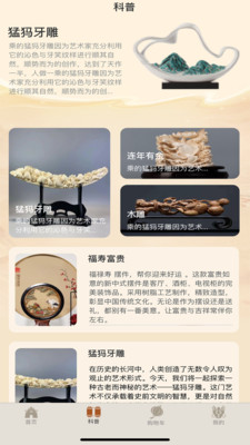 藏趣之