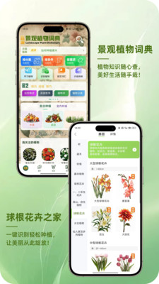 踏遍景观植物词典