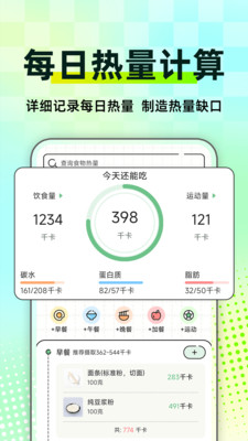 每日减肥