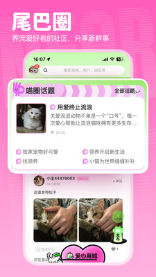 附近有喵-流浪猫爱心送养平台
