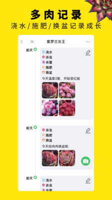 多肉圈