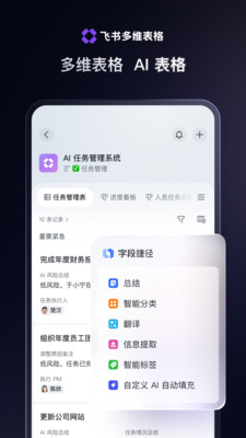 飞书