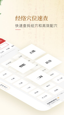 人体穴位图解-经络穴位医学图谱