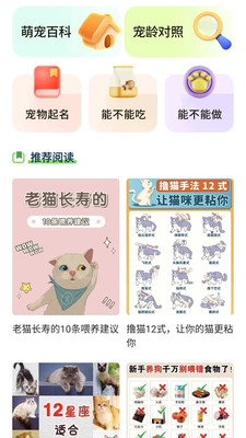 布偶萌宠