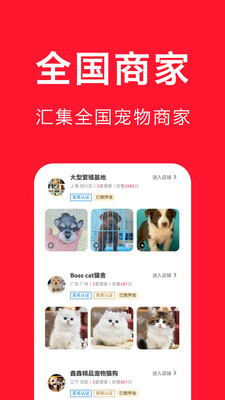 宠物宝-一站式宠物服务平台