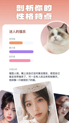 灵魂宠物-动物系长相