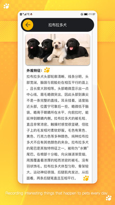 萌宠乐园