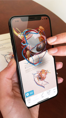 人体解剖 3d-人体解剖学图谱