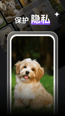 私人观影播放器player