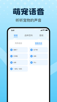 动物翻译器pet