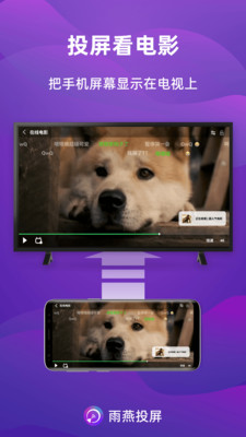 雨燕投屏-镜像投屏到电脑和电视