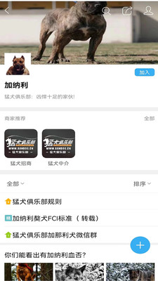 猛犬俱乐部-猛犬交流平台