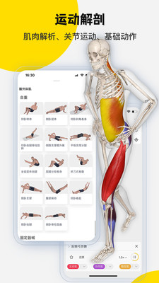 3Dbody解剖-体积小，电脑端同步