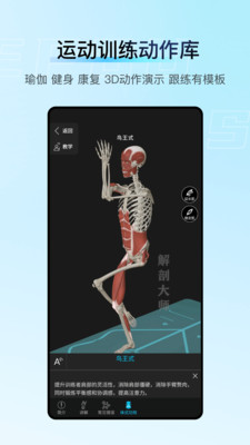 解剖大师-精细好用综合性3D解剖