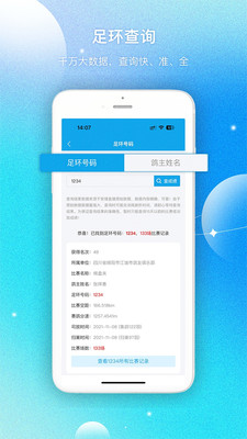 中鸽网-赛鸽资讯数据