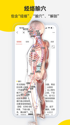 3Dbody解剖-体积小，电脑端同步