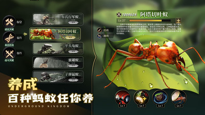 小小蚁国-超快发育版