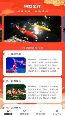 锦鲤呈祥