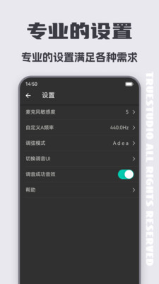 琵琶调音大师-琵琶调音器