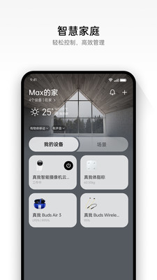 realme Link