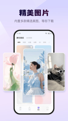 Wonder Widget