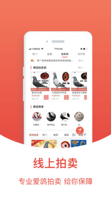 搜鸽天下-赛鸽头条重磅升级