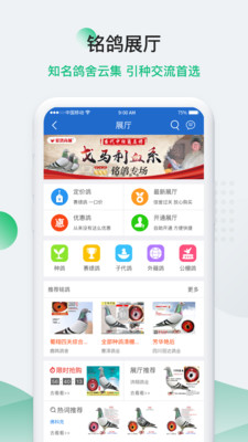 中信网—信鸽信息网